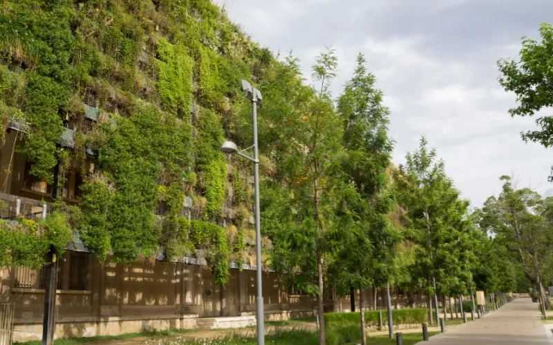 Grüne Fassade eines nachhaltigen Gebäudes mit vertikaler Begrünung und Bäumen entlang eines Gehwegs.